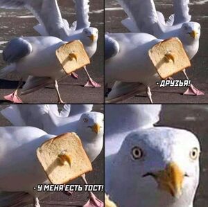 Устали от серых будней? У нас есть «лекарство»! 
