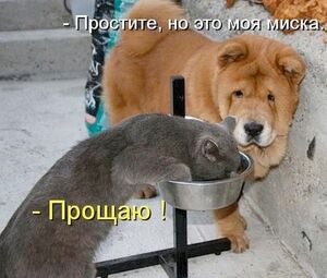 Устали от серых будней? У нас есть «лекарство»!