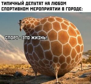 Когда до пятницы — целая вечность: порция юмора, чтобы дотянуть до выходных! 