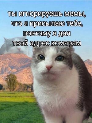 Пятница — маленькая победа! ✨