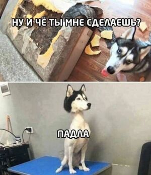 Пятница, мы тебя дождались!