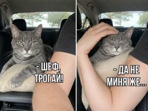 Ваша доза хорошего настроения на выходные ☕️✨