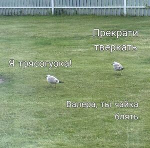 Наконец-то выходные! 