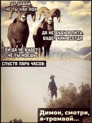 Наконец-то выходные!