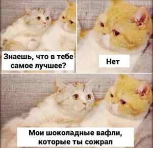 Настроение на нуле? Лови порцию позитива! 