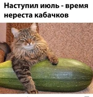 Настроение на нуле? Лови порцию позитива!