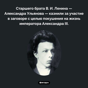 Старший брат Ленина тоже был революционером