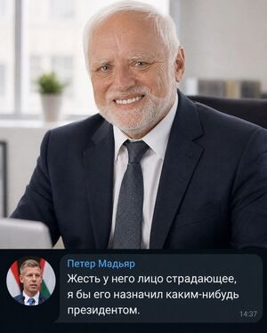 Венгрия официально сошла с ума (в хорошем смысле): народным кандидатом в президенты стал Гарольд, скрывающий боль.