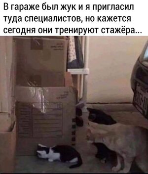 Пятница — это маленькая жизнь, а конец рабочей недели — повод выдохнуть и наконец-то улыбнуться!