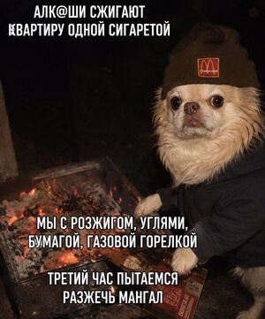 Среда — это маленькая пятница, а значит, пора добавить в неё немного юмора! ✨