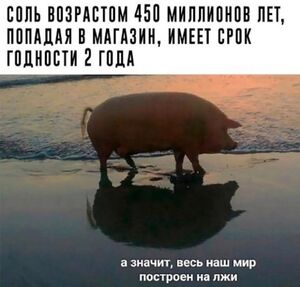 Понедельник — день тяжелый? Только если не начинать его с правильной дозы юмора!