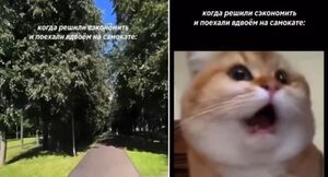 «Сэкономили» на самокате — получили штраф в 100 000 рублей: история о том, как попытка обмануть систему вышла боком