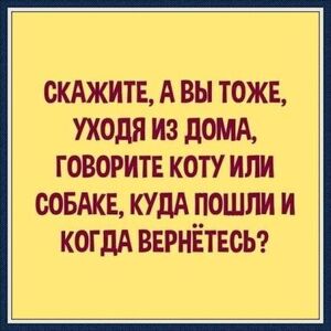 Середина недели — это всегда испытание на прочность, но мы знаем, как сделать её легче! 