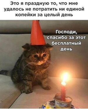 Воскресенье — день, когда можно официально нажать «пауза» на бешеный ритм недели