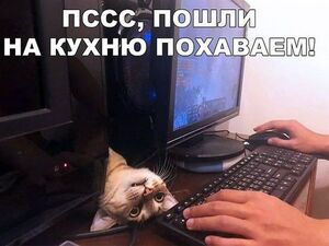 Ура, дождались! Выходные официально открыты!