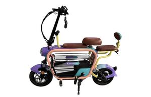 Skyboard Piter 350W: запас хода 50 км, гидравлические амортизаторы и LCD-дисплей