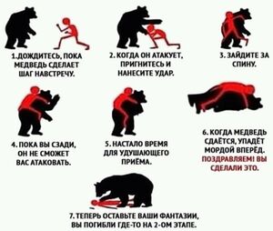 Почему пистолет против медведя — почти бесполезен: физика встречи с хищником