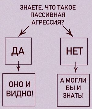 Пятничная порция юмора: поднимаем настроение перед выходными! ✨