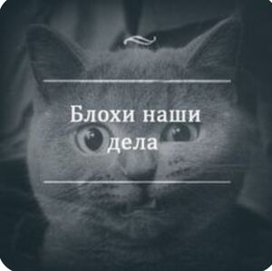 Утро добрым бывает, если начать его с правильного контента! 