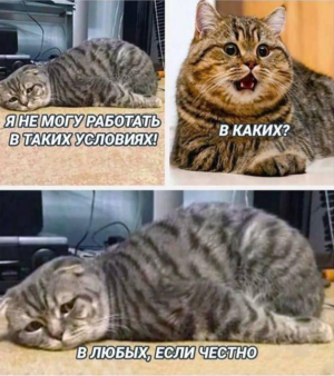 Среда — это маленькая пятница, а значит, пора выдохнуть!