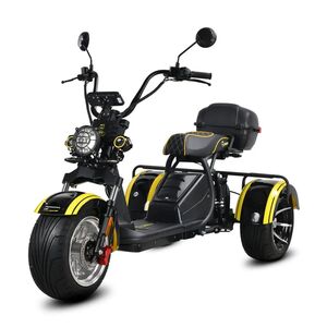 SIBERTON PRO TRIKE MAX 3950W: запас хода 70 км и стальная рама для города и пригорода