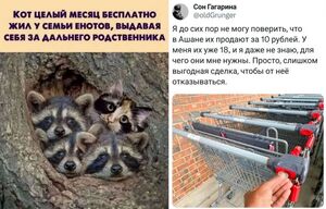 Хватит грустить! Заряжаемся позитивом на весь день!