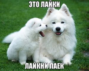 Плохое настроение? Отменяется!