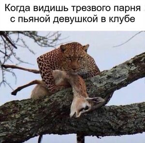 Пятница — маленькая жизнь! 