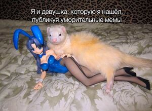 Выходные официально открыты! 