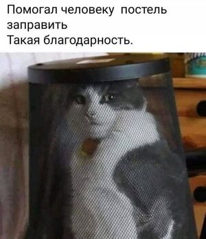 Выходные официально открыты!