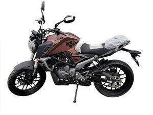 RACER RC250XZR-X КАЙМАН ENDURO: особенности, кредитные условия и нюансы покупки