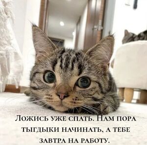 Хватит грустить! Заряжаемся позитивом на весь день