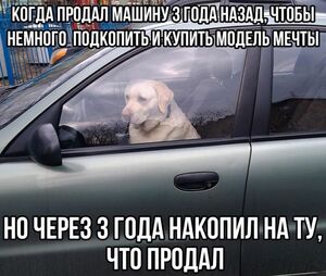 Среда — это маленькая пятница, а значит, пора подзарядиться!