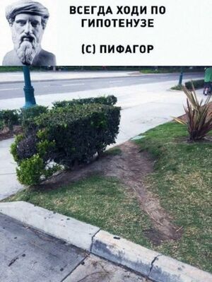 Среда — это маленькая пятница, а значит, пора выдохнуть! ☕️✨