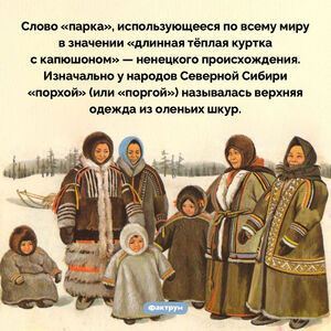 Единственное слово жителей Крайнего Севера, ставшее международным
