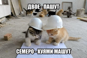 Ну что, пришло время для пятиминутки смеха! 