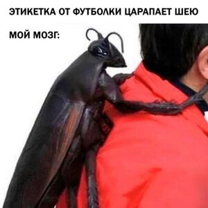 Экватор недели пройден! ✨