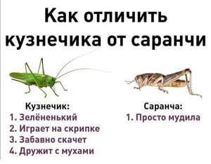 Среда — время поднять себе настроение!