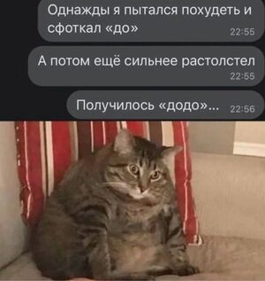 Осторожно: уровень пошлости зашкаливает!
