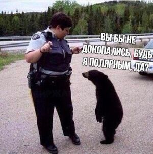 Воскресное настроение: выдохнуть и улыбнуться