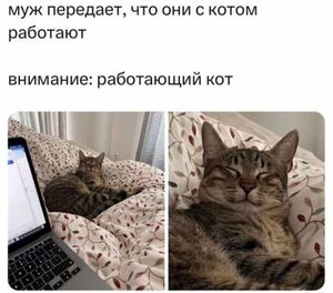 Устали от серых будней? Заряжаемся позитивом! ⚡️
