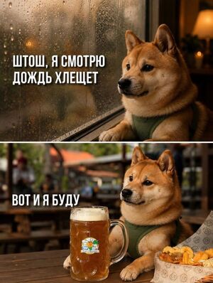 Пятница, детка! 