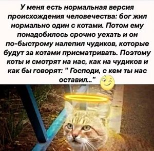 Пятница, детка!