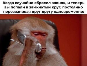 Воскресенье — время для перезагрузки и порции смеха! ☕️✨