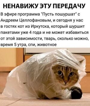 Воскресенье — время для перезагрузки и порции смеха! ☕️✨
