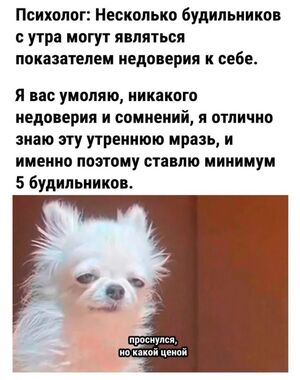 Смех как лекарство: свежая подборка мемов для поднятия настроения