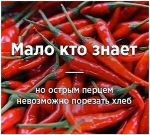 Улыбнись, пятница пришла! Мемы и шутки для перезагрузки