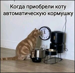 Пятница = хорошее настроение: порция юмора, чтобы выдохнуть