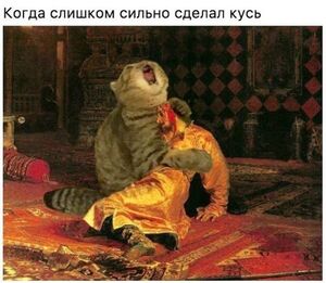 Выходные официально открыты! ✨