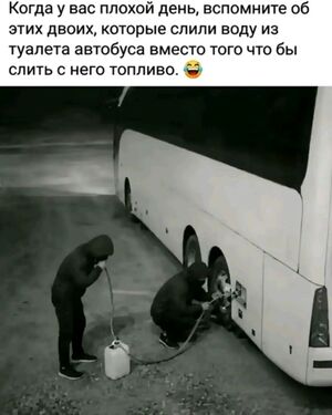 Мемы, которые разгоняют тучи даже в самый серый день